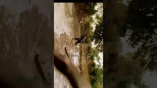 110039 jatt land
