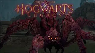 Прохождение: Hogwarts Legacy #10 ПАУЧЬИ ОРДЫ