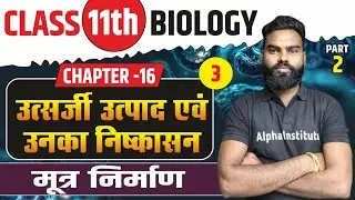 मूत्र निर्माण | उत्सर्जी उत्पाद एवं उनका निष्कासन | Chapter 16 Class 11th Biology Hindi Medium