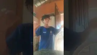 3 de junho de 2024