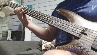 Latín Bass Solo - Ibanez Sr 5005
