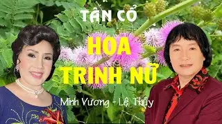 Tân cổ: Hoa Trinh Nữ - Lệ Thủy & Minh Vương