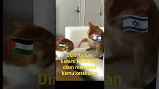 Gak selamanya kita harus bertahan,kita harus menyerang #kucing #palestine