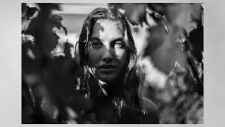 Alan Schaller - The Pursuit of light