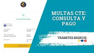Multas CTE: Consulta y pago en línea