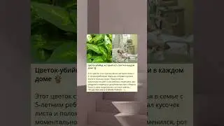 Цветок-убийца, который есть почти в каждом доме 🪴