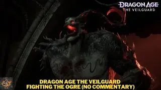 Dragon Age The Veilguard - Fighiting an Ogre (No Commentary)