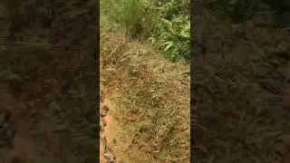 Curug Asoy