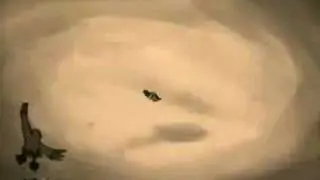 Dolf's Sacrifice