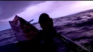 Pescasub: Winter Queen - Spearfishing Seabass 09/02/2017