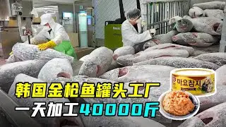 实拍韩国最大金枪鱼罐头厂，一天加工4万斤，累计卖出70亿罐