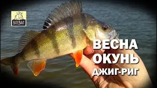 ОКУНЬ НА ДЖИГ-РИГ. Ловля окуня весной на JIG-RIG на водохранилище