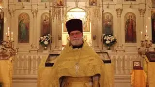 Orthodox Sermon - What is the purpose of your life?