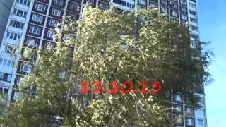 13 .10.13