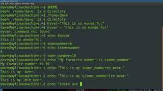 Bash Programming 3  Variables and Quoting