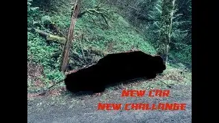 new car reveal