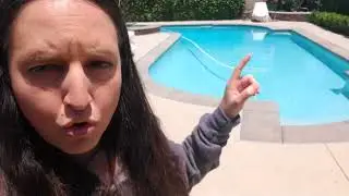 Pool Safey Tips for your dog l Rooted Dog Training