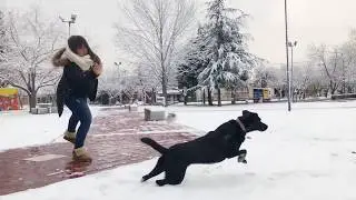 Un día de perros...en la nieve!