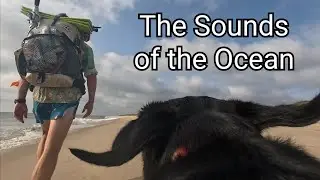 The Sounds of the Ocean (Hiking with a Dog)