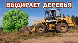 ТРАКТОР ВАЛИТ ДЕРЕВЬЯ, РАСЧИСТКА УЧАСТКА ОТ ЗАРОСЛЕЙ