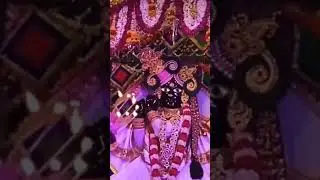 #bankebihari ❤️#thakurji 🥰#aarti 🙏#thursday 😊#shorts #viral #trending