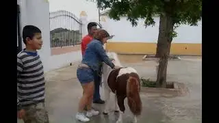 Caballito