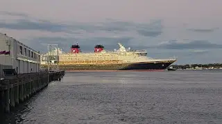 #disney #wonder #play #music ##horn #before #leaving #auckland #port #nz