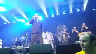 Madness "Night Boat To Cairo"
