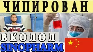 Китайская Вакцина Vero Cell 2021