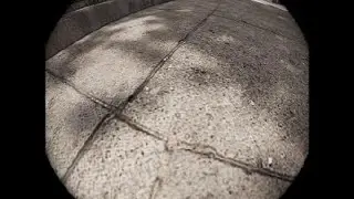 Session: Skate Sim SF Line