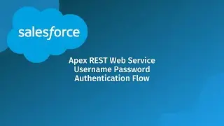 Salesforce Apex REST Web Services Basics and Username Password Authentication Flow