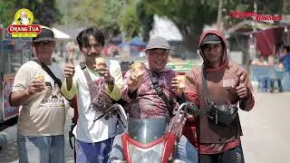 Jamu Seduhan Petik Laut Pancer 2024 !