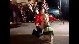 O cachorro mais inteligente do mundo