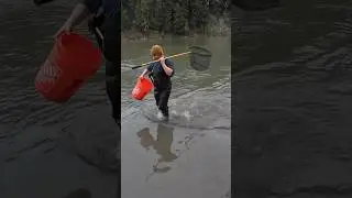 Ловим рыбу сачком