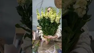 Весна рядом ❤️😮 