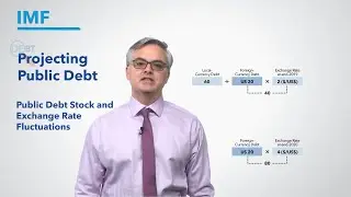 Public Debt Stock-Flow Adjustment Due To Intra-Period Exchange Rate Fluctuations