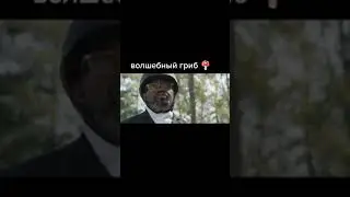 Волшебные грибы,с тех пор их больше никто не видел 😂
