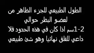 حجم عضو البظر
