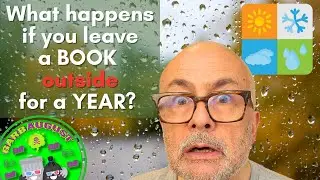 I Left a Book Outside for a Year | WARNING: live bugs 🐛🪲🐌