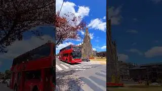 🎄❤️Ônibus natalino - Passeio de Natal em Canela e Gramado no Bus Tour.
