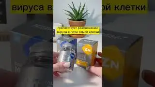 Готовимся к сезону простуд