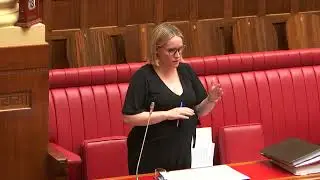 Speech - Children and Young People (Safety and Support) Bill