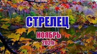 ♐ СТРЕЛЕЦ. НОЯБРЬ 2021г. Таро прогноз, гороскоп для стрельцов.