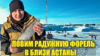Первая рыбалка на радужную форель-Красный горняк 21.01.2023