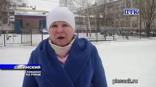 ПТК-Савинский от 8 декабря