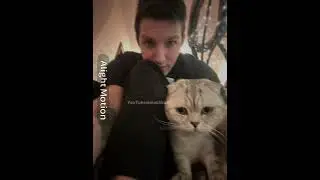 MZLFF | #edit #видео