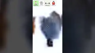 из Африки
