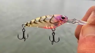 Fishing A TINY Lure Around Structure!!