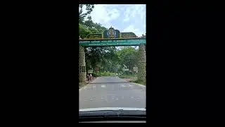 Thrilling Drive Through Mudumalai Tiger Reserve | Wildlife Adventure | Scenic Safari