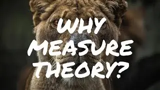Why Measure Theory? -- a short introduction